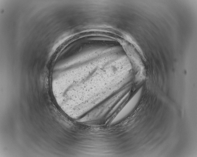 X0000087671360200705251608