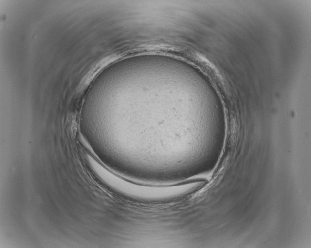 X0000087671361200705251608