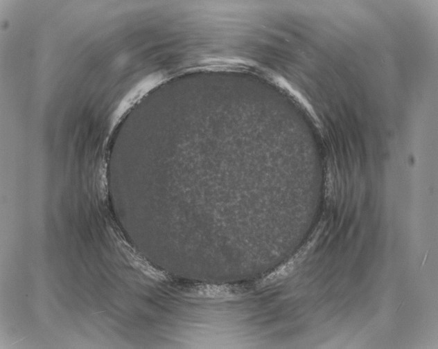 X0000087671362200705251608