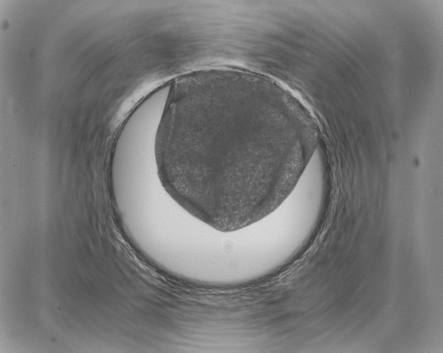 X0000087671363200705251608