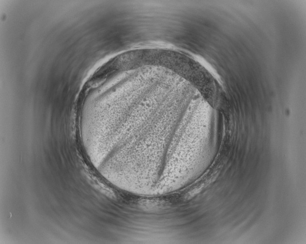 X0000087671364200705251608