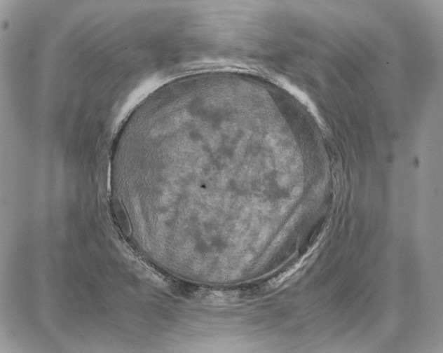 X0000087671365200705251608