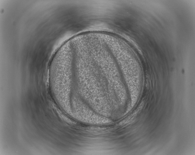 X0000087671366200705251608