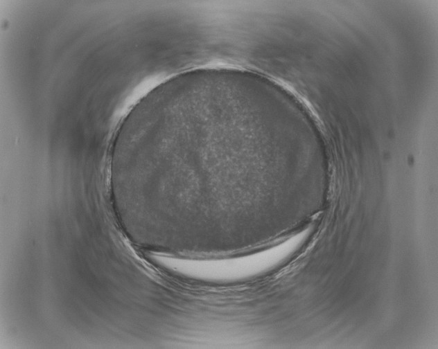 X0000087671367200705251608