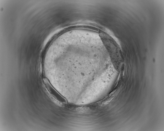 X0000087671368200705251608