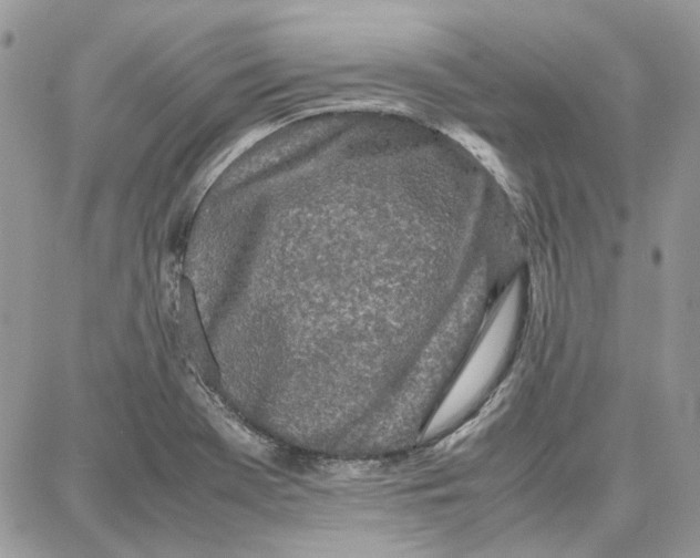 X0000087671369200705251608