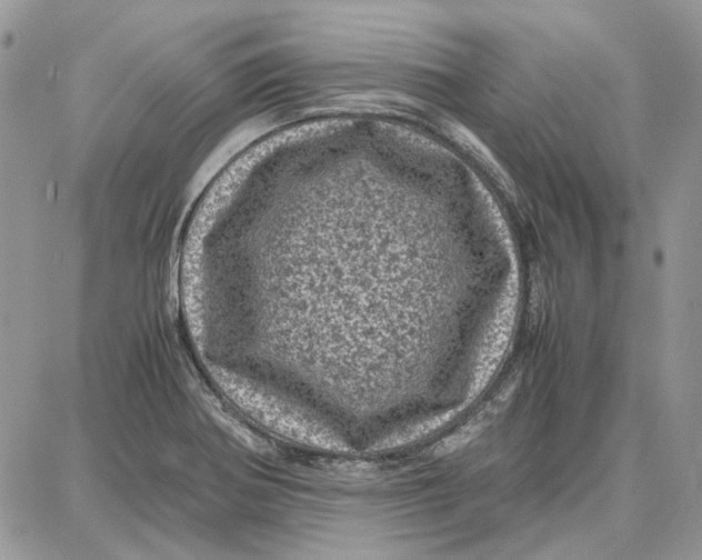 X0000087671370200705251608