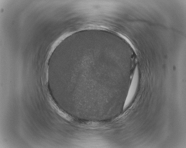 X0000087671371200705251608