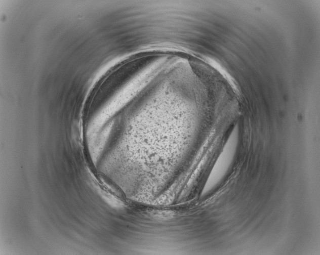 X0000087671372200705251608