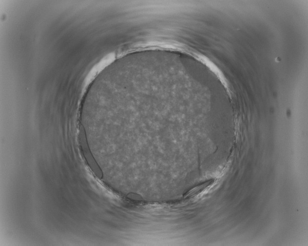 X0000087671373200705251608