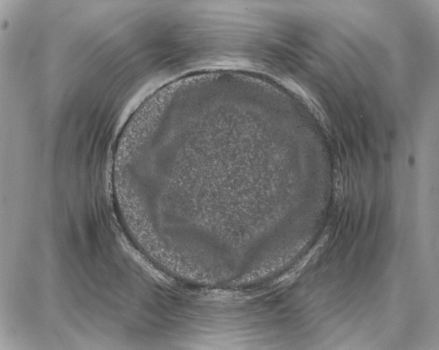 X0000087671374200705251608