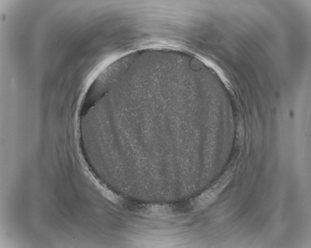 X0000087671375200705251608