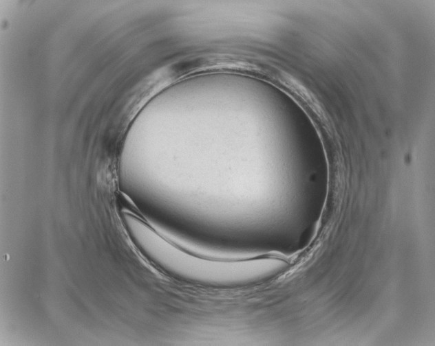 X0000087671377200705251608