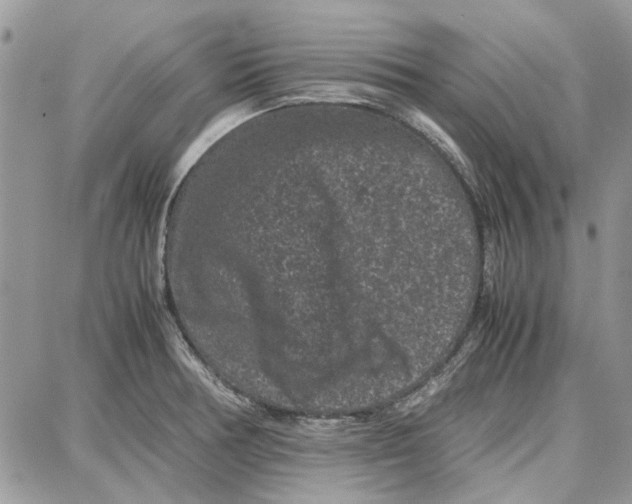 X0000087671378200705251608