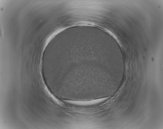 X0000087671379200705251608