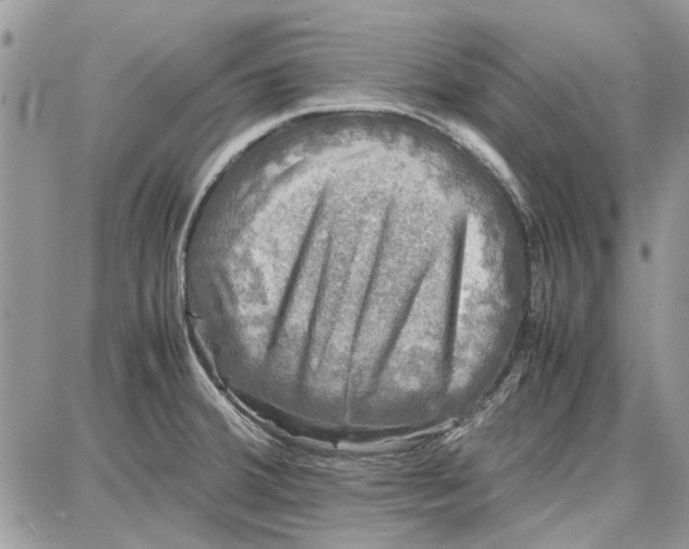 X0000087671380200705251608