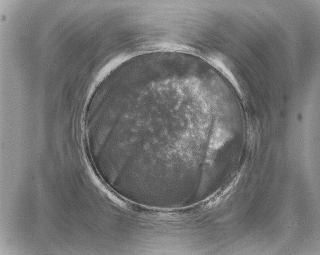 X0000087671381200705251608