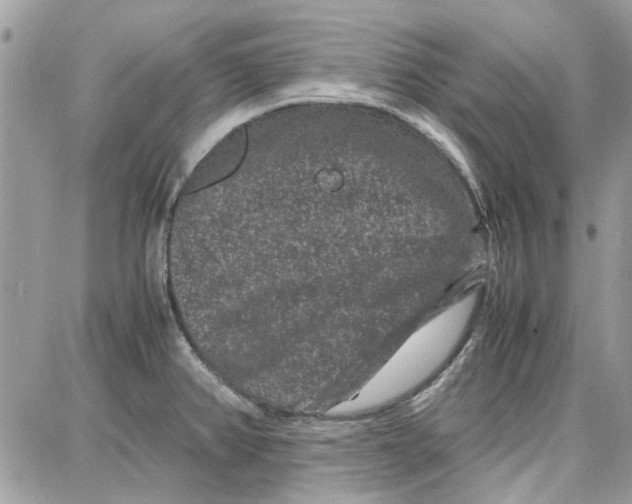 X0000087671382200705251608