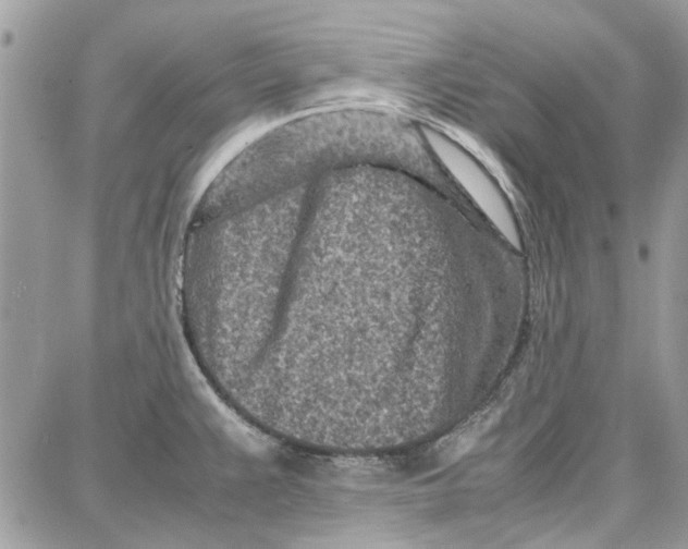 X0000087671383200705251608