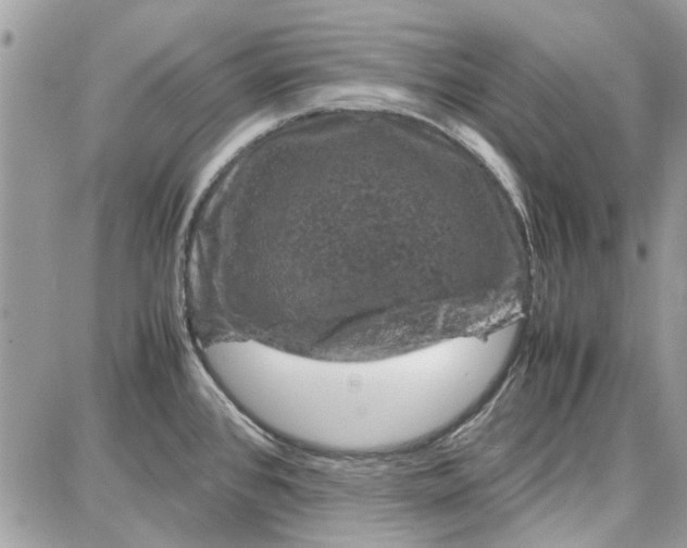 X0000087671384200705251608