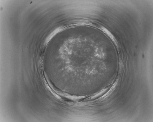 X0000087671385200705251608