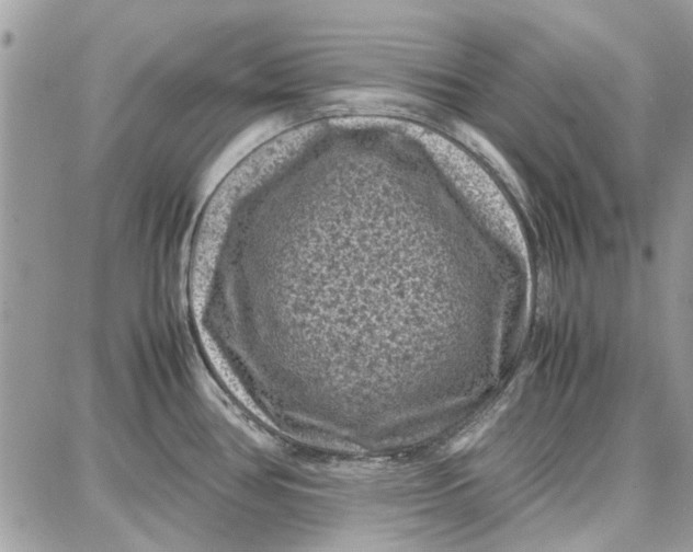 X0000087671386200705251608