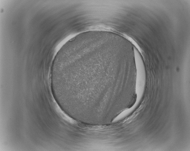 X0000087671387200705251608