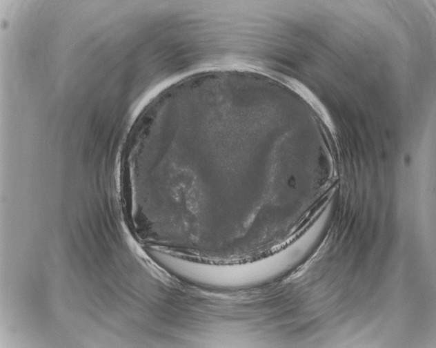 X0000087671388200705251608