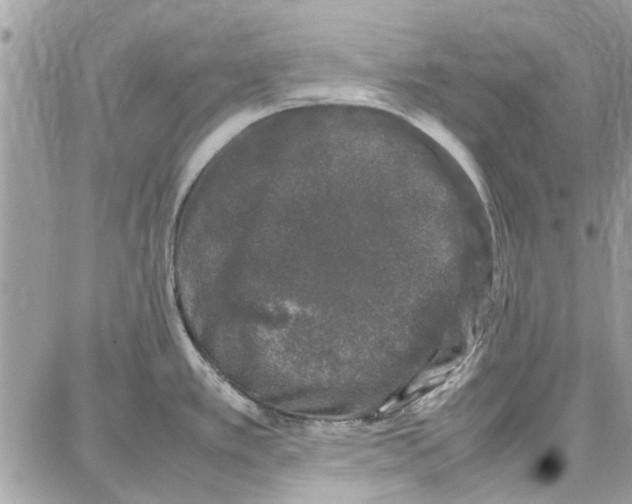 X0000087671389200705251608