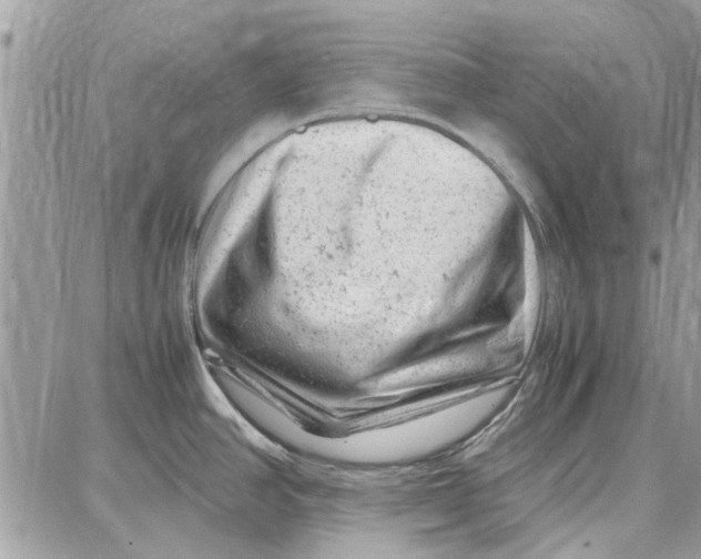 X0000087671390200705251608