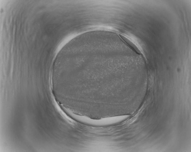 X0000087671391200705251608