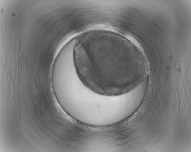 X0000087671392200705251608