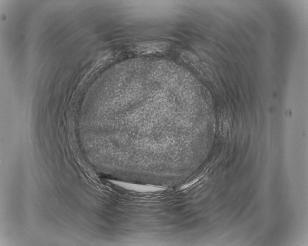 X0000087671393200705251607