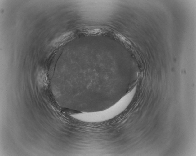 X0000087671394200705251607