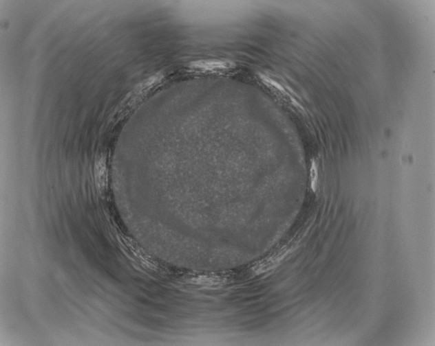 X0000087671395200705251607