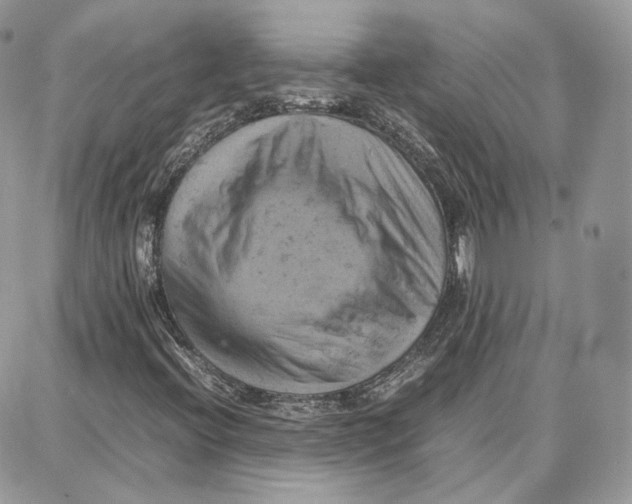 X0000087671396200705251607