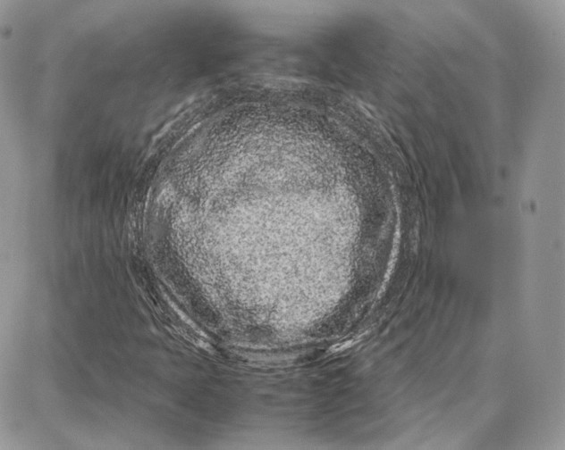 X0000087671397200705251607