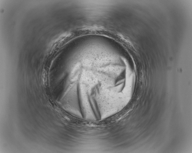 X0000087671398200705251607