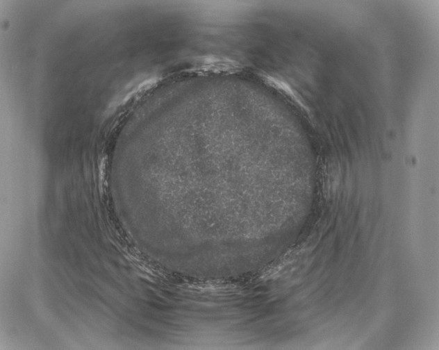 X0000087671399200705251607