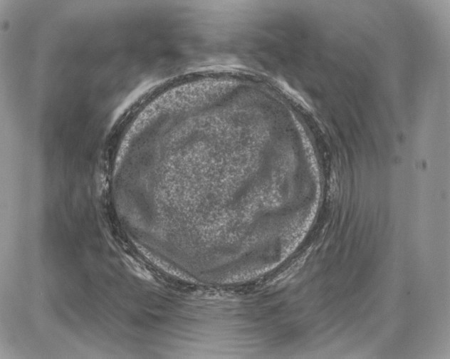 X0000087671400200705251607