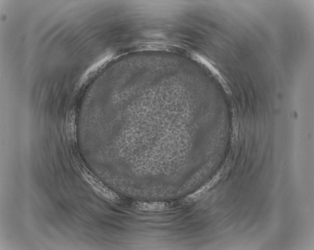 X0000087671403200705251607