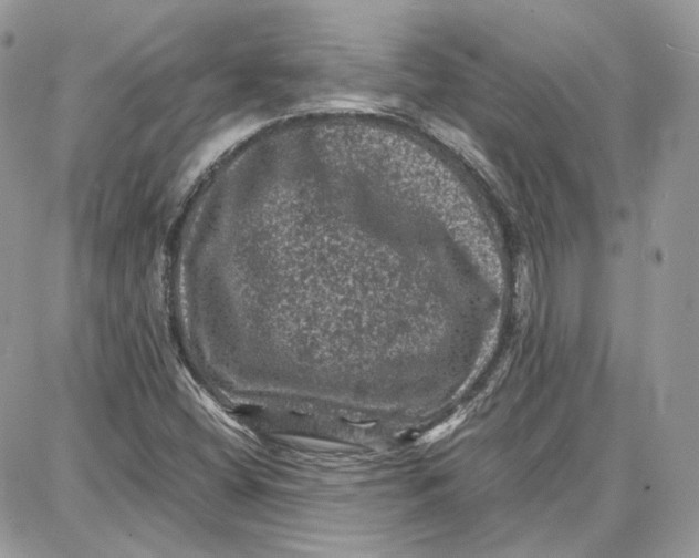 X0000087671404200705251607