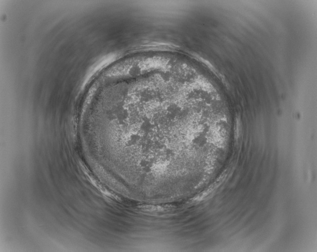 X0000087671405200705251607