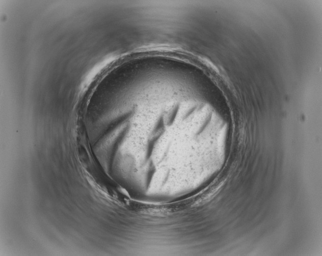 X0000087671406200705251607