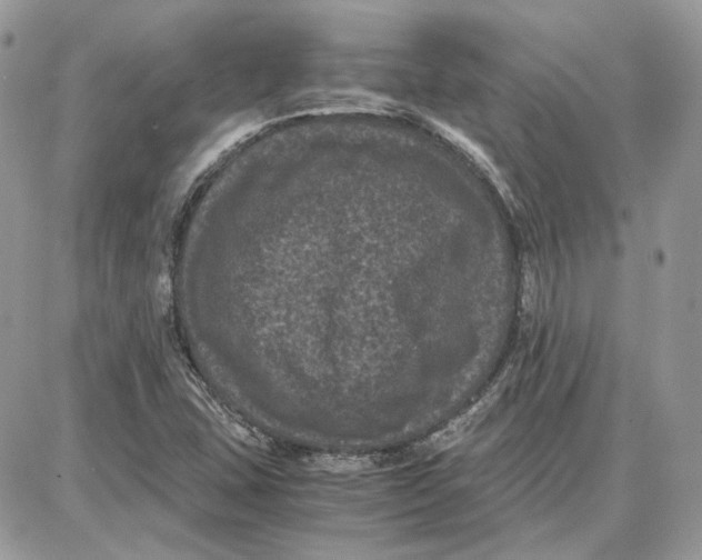 X0000087671407200705251607