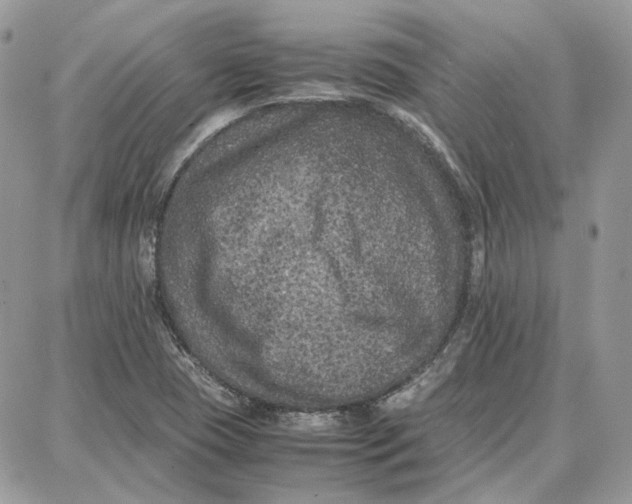 X0000087671409200705251607