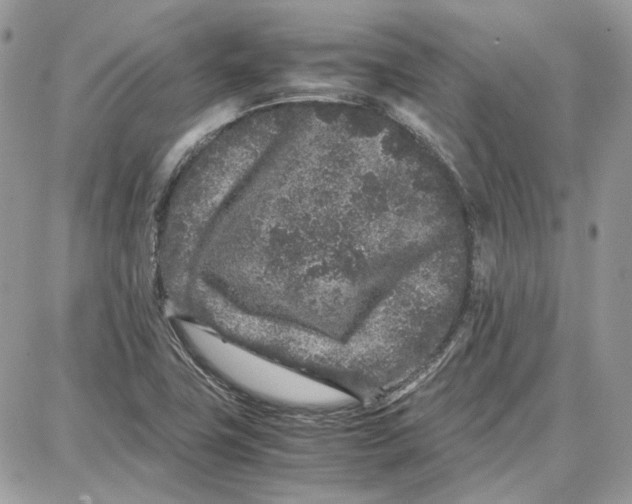 X0000087671411200705251607