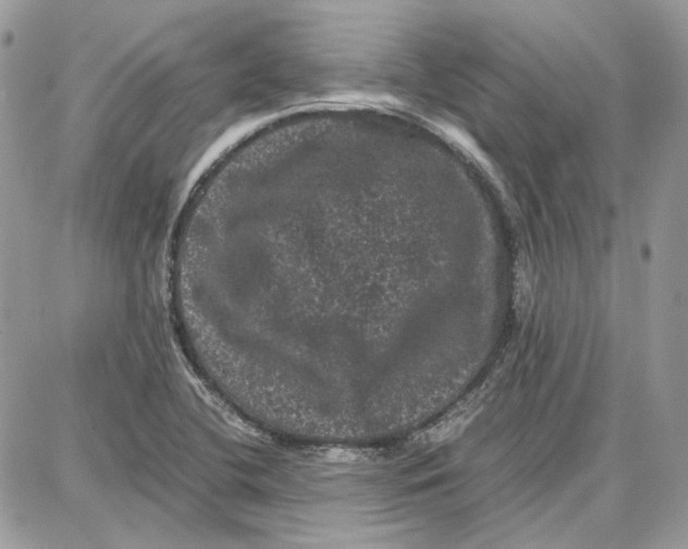 X0000087671412200705251607