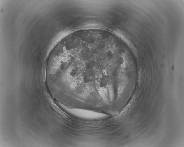 X0000087671413200705251607