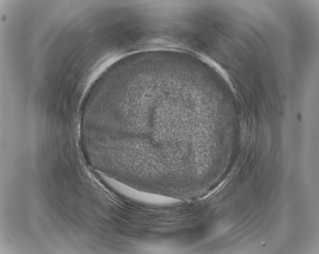 X0000087671415200705251607